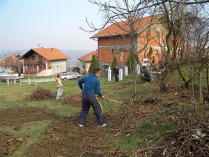 MZ Kraševo