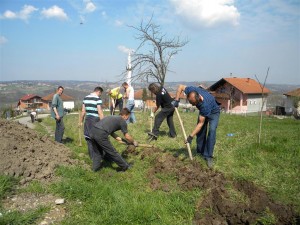 SDPBiH Kraševo